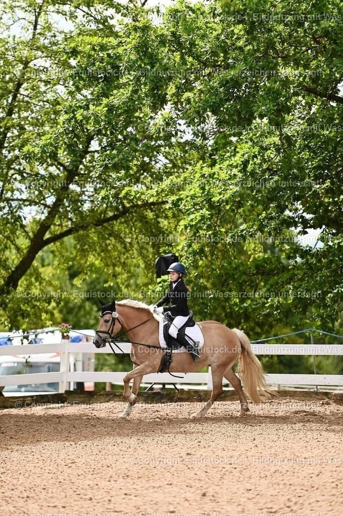 20230716_10-2_Reiter-WB Schritt - Trab - Galopp_0040 | equistock