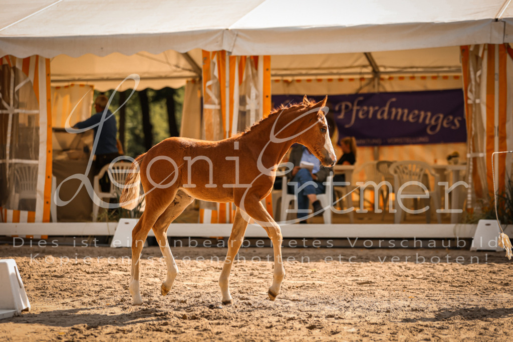 10.DoRP00209 | Leoni Ertmer Photography - Realisiert mit Pictrs.com