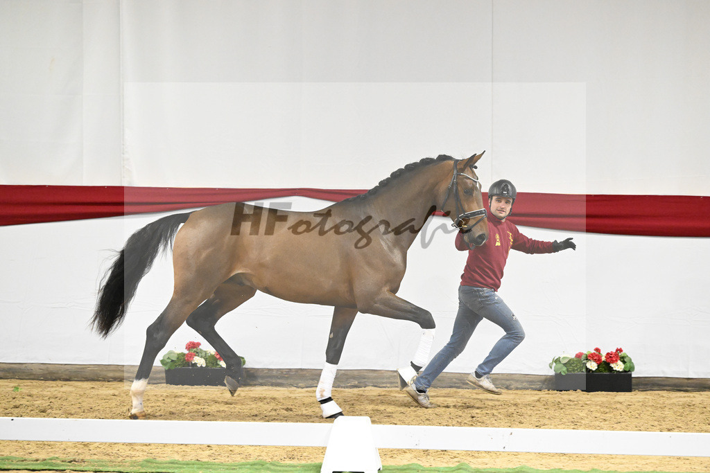 Kat-Nr. 73 v. Escamillo_Capezutto_63220705 | hf-fotografie - Realizzato con Pictrs.com