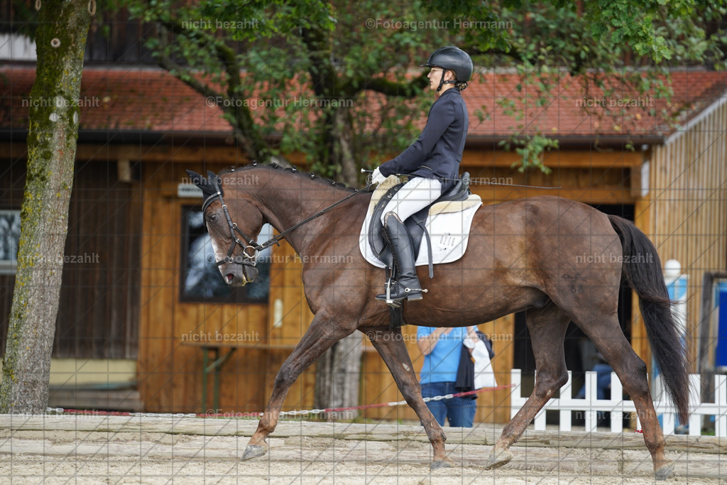 20230826-FAH05183 | Forstinning, 2023, Dressurturnier, Turniersportbilder, Turnierfotografen Bayern, Fotoagentur Herrmann, Reitsportfotografie, Turnierbilder