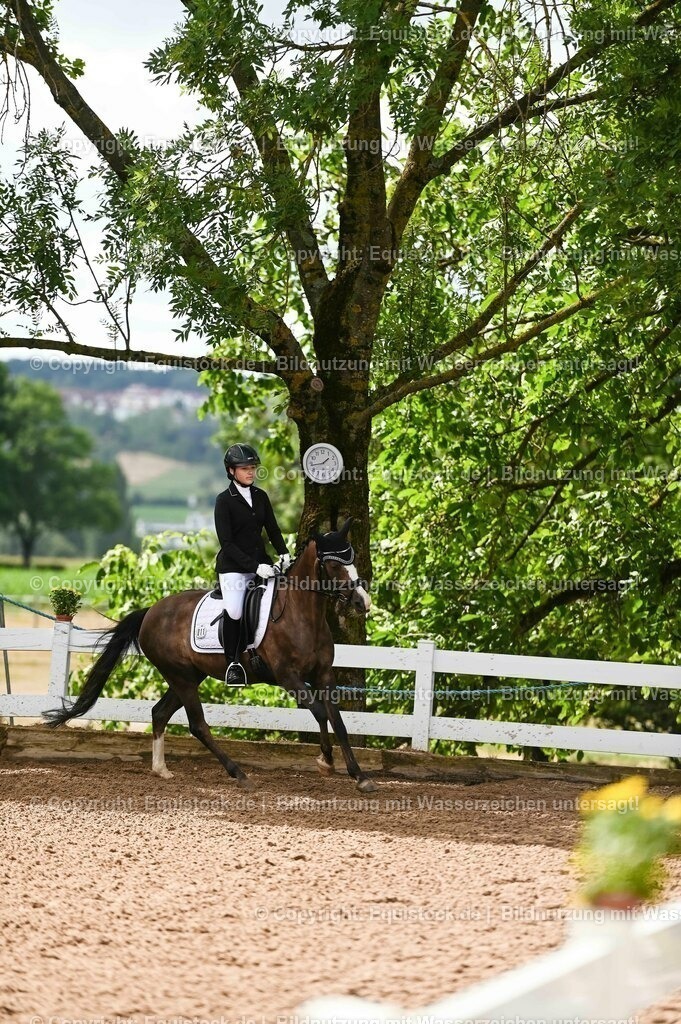 20230716_10-1_Reiter-WB Schritt - Trab - Galopp_0191 | equistock