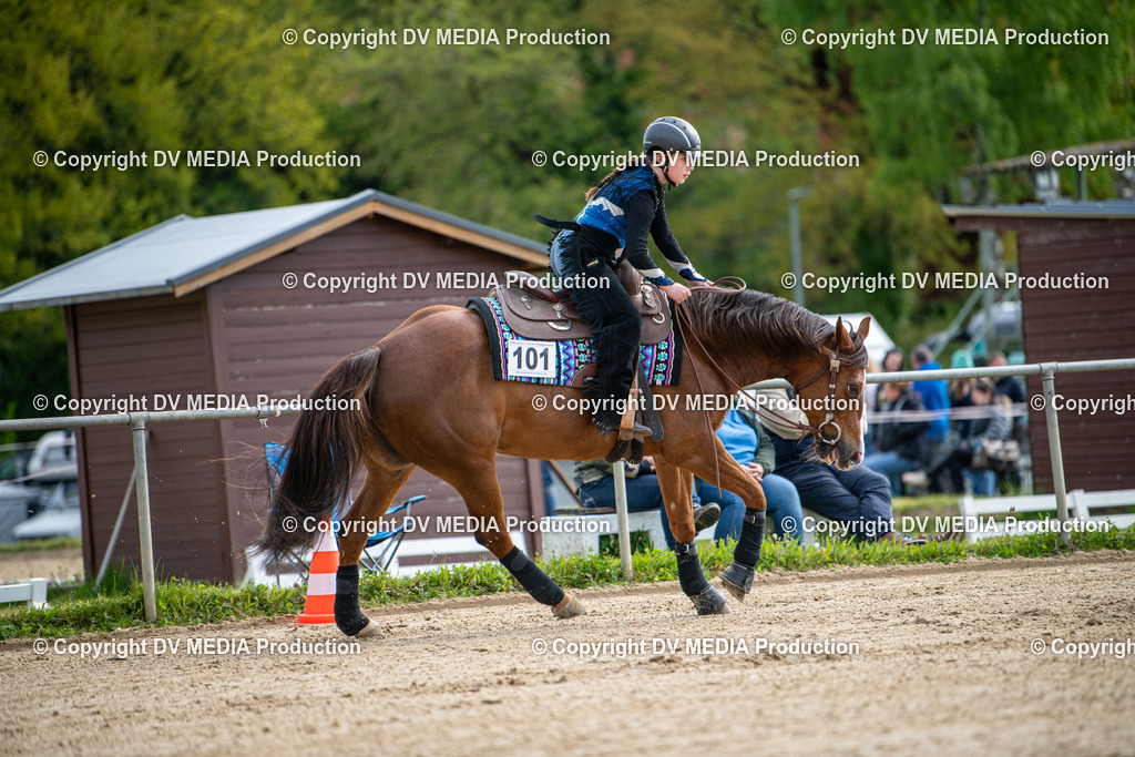 Heiligenwald Tag 3-513 | dv-media-shop - Realisiert mit Pictrs.com