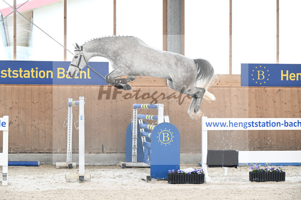 Kat-Nr. 62 Verbier B v. Vingino_Bachl_7240255 | hf-fotografie - Realisiert mit Pictrs.com