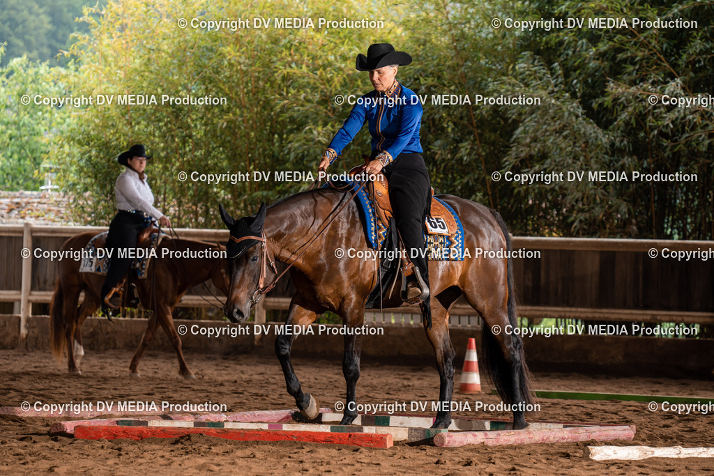 Erbach Tag 3-283 | dv-media-shop - Realisiert mit Pictrs.com