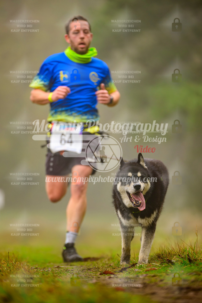 MompixPhotography_Bischwiller2025_Canicross-78 | mompixphotography