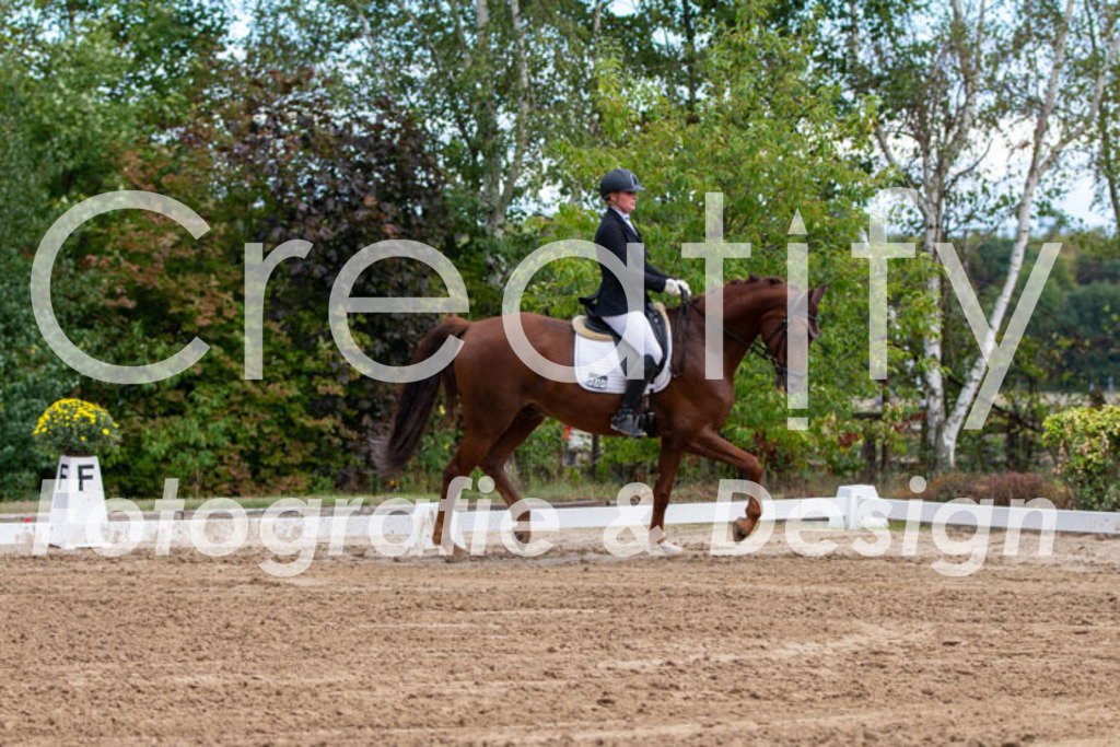 IMG_3802 | Creatify Fotografie