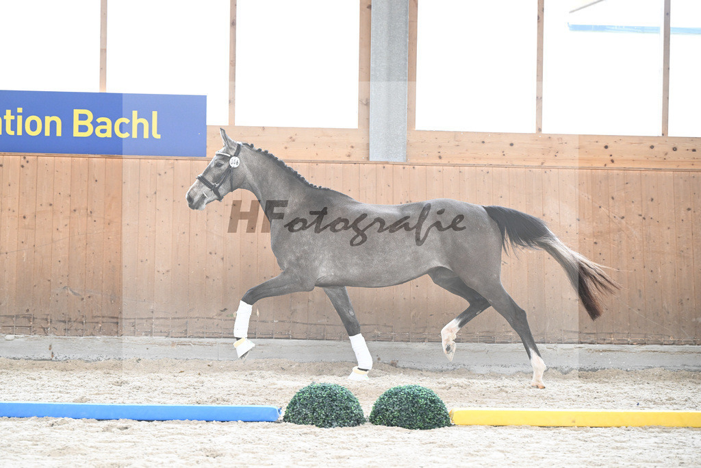 Kat-Nr. 66 Daytona v. Christ_Hoffmann_7241310 | hf-fotografie - Realizzato con Pictrs.com