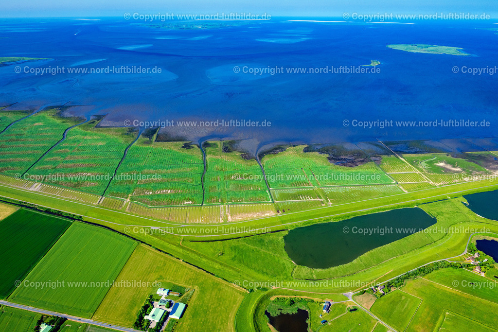 Ockholm_Salzwiesen_ELS_8268100623 | REUßENKöGE 10.06.2023 Grasflächen- Strukturen einer Feld- und Wiesen- Landschaft " Ockholm " in Reußenköge im Bundesland Schleswig-Holstein, Deutschland. // Grass area structures of a salt marsh landscape " Ockholm " in Reussenkoege in the state Schleswig-Holstein, Germany. Foto: Martin Elsen