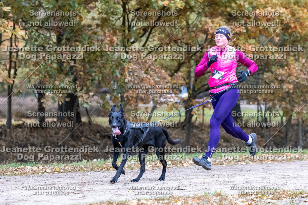 Dog Paparazzi - SD CaniX Championship 2025-125 | Dog Paparazzi Jeanette Grottendiek Fotografie & Videografie - Realisiert mit Pictrs.com
