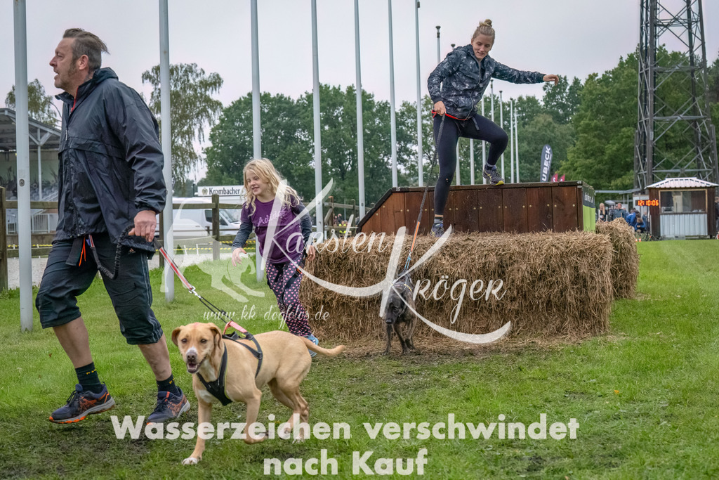 1211--13 | kk-dogfotos