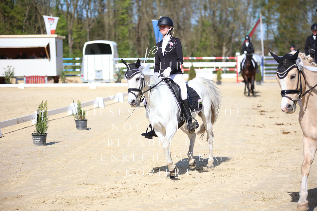 IMGT2423 | pl-fotografie