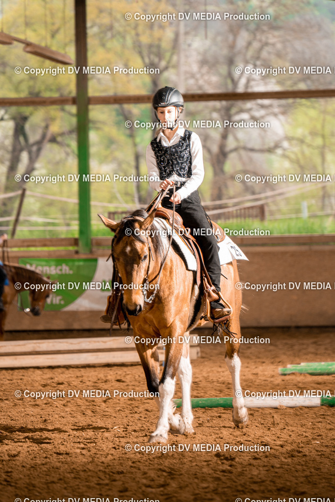 BA300335 | dv-media-shop - Realisiert mit Pictrs.com