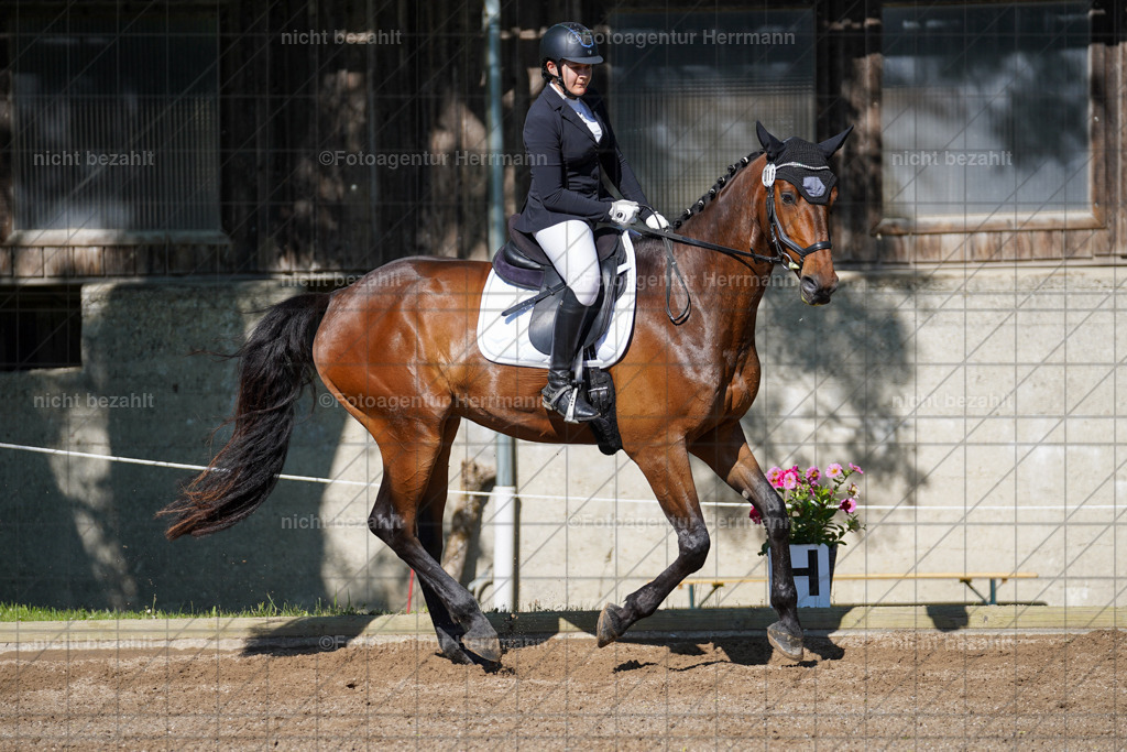 20240519-FAH04588 | Turnierbilder Niederseeon 2024, Vielseitigkeitsdressur, Reitsportbilder aus dem Landkreit Ebersberg, Gut Steinsee, RC Steinsee, Fotoagentur Herrmann