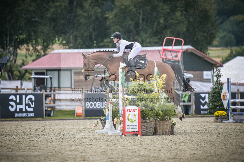 DOS_6953 | Entdecke hochwertige Reitturnierfotos von Foto Oger. Professionell, emotional und authentisch – jetzt Lieblingsmomente im Shop bestellen.Deutschlandweite Turnierfotografie. - Realisiert mit Pictrs.com