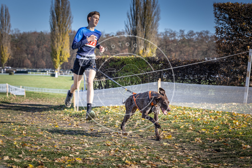 CaniXpix_DV3A8896 | Hundefotografie, Tierfotograf, Pfotenfotografie, Fotoshooting Hund, Hunde Portrait, Hundesport, Hundeportraits, Heideshooting, Hunde, Sportfotograf, Hundefotograf, Turnierhundsport, THS,  - Realisiert mit Pictrs.com