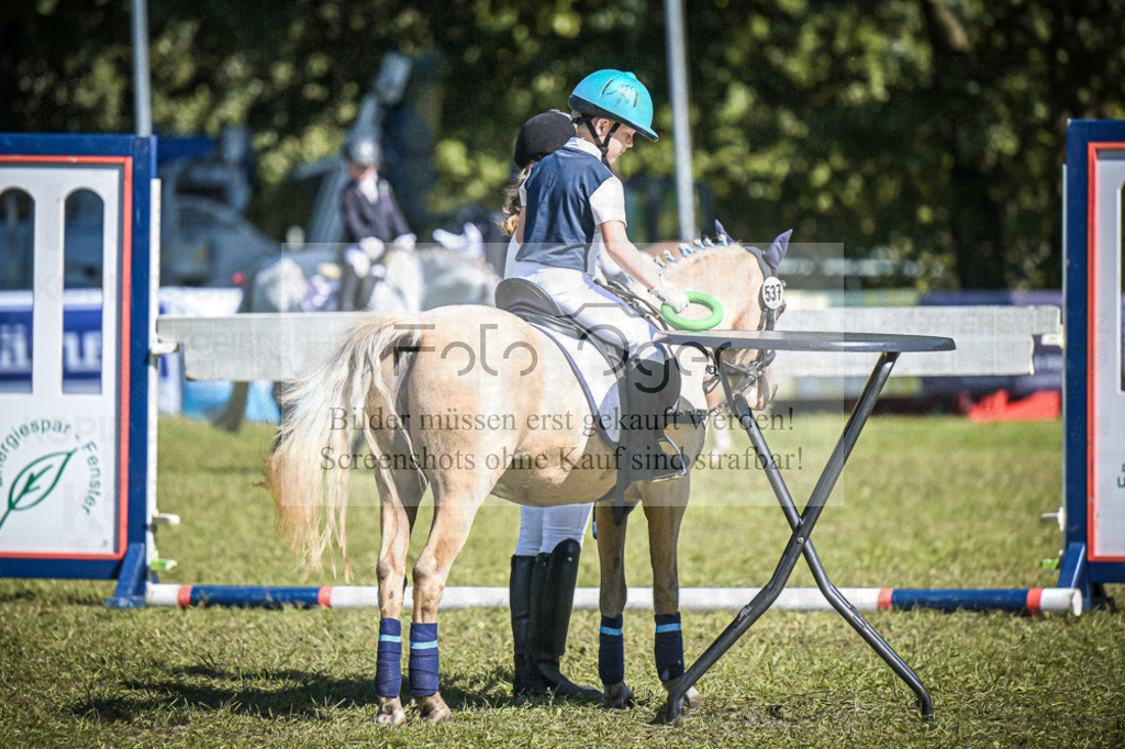 DOS_0488 | Entdecke hochwertige Reitturnierfotos von Foto Oger. Professionell, emotional und authentisch – jetzt Lieblingsmomente im Shop bestellen.Deutschlandweite Turnierfotografie. - Realisiert mit Pictrs.com