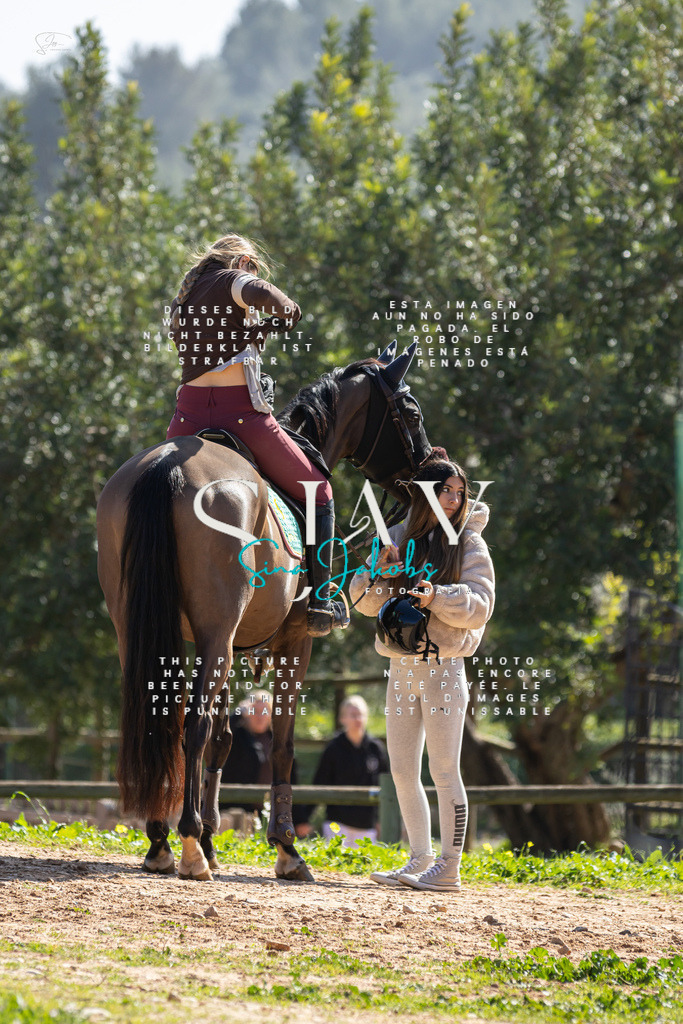 IMG_6217 | s-jay-photography - Realisiert mit Pictrs.com