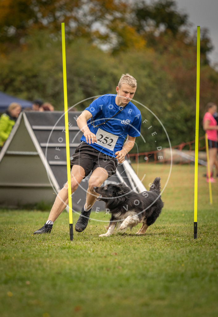 Pfotenfotografie_DV3A6438 | Hundefotografie, Tierfotograf, Pfotenfotografie, Fotoshooting Hund, Hunde Portrait, Hundesport, Hundeportraits, Heideshooting, Hunde, Sportfotograf, Hundefotograf, Turnierhundsport, THS,  - Realisiert mit Pictrs.com