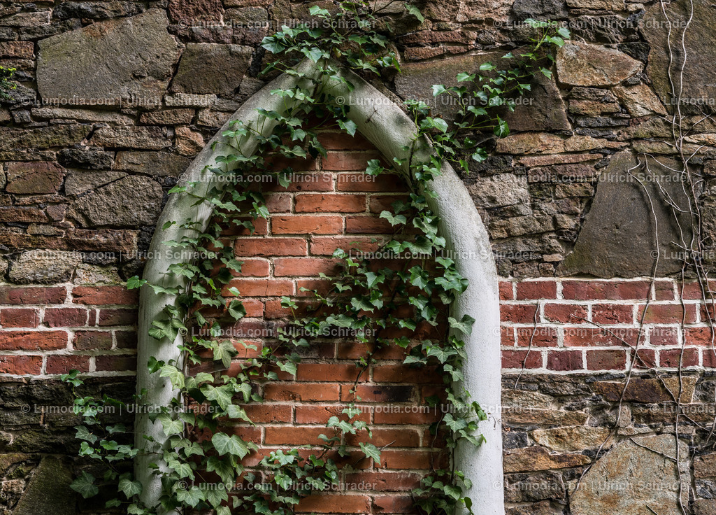 10049-5668 - Wörlitzer Park _ Sachsen Anhalt | Stockfoto und Bilderpool mit Bildmaterial aus Deutschland, dem Harz, Halberstadt, Quedlinburg, Wernigerode und weltweit. Qualitativ hochwertige und professionelle Fotos anschauen und kaufen. - Realisiert mit Pictrs.com