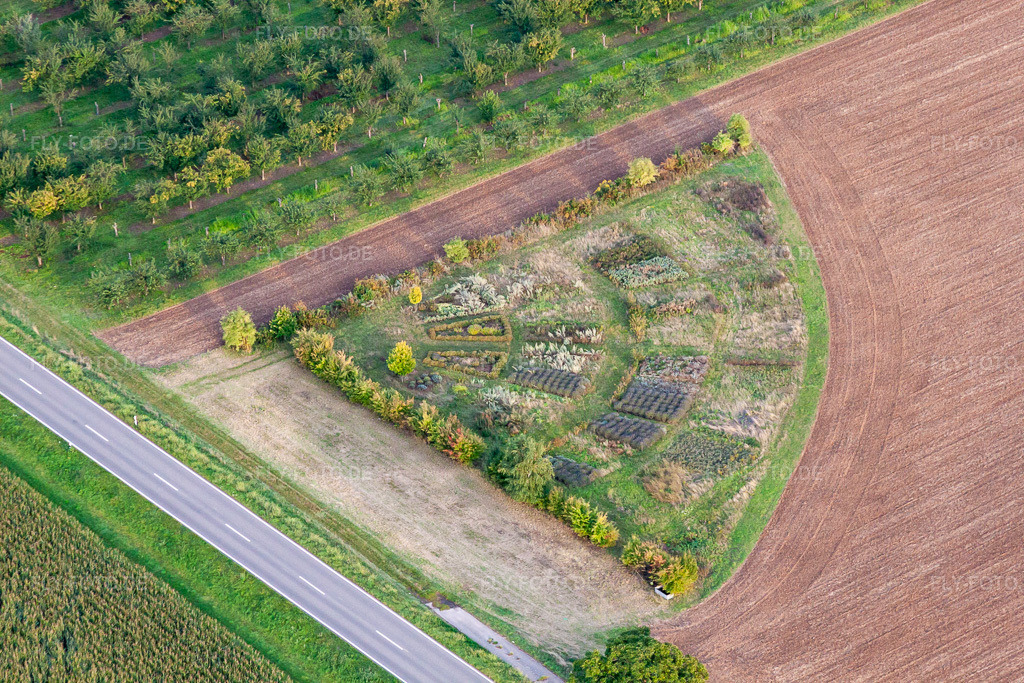 Luftbild: Strukturen auf landwirtschaftlichen Feldern mit einem Test - Beet am Feldrand im Ortsteil Eckel in Kleinfischlingen im Bundesland Rheinland-Pfalz in Deutschland. Foto: IMG_71243.jpg vom 27.08.2014 durch Werner Riehm/FLY-FOTO.de