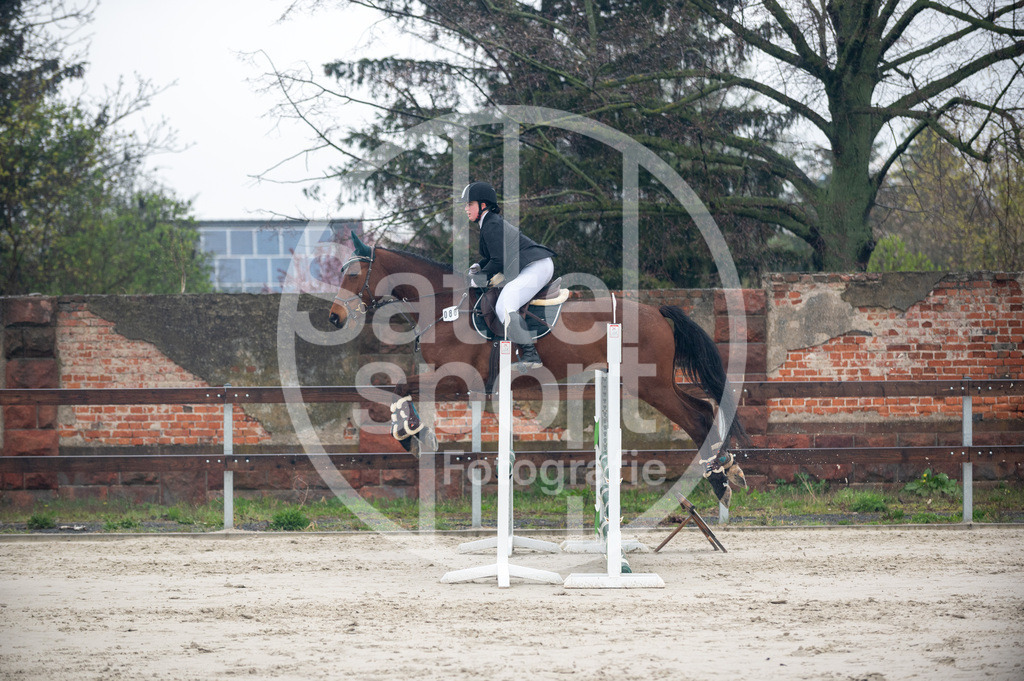 DSC_8879 | sattelsport - Realisiert mit Pictrs.com