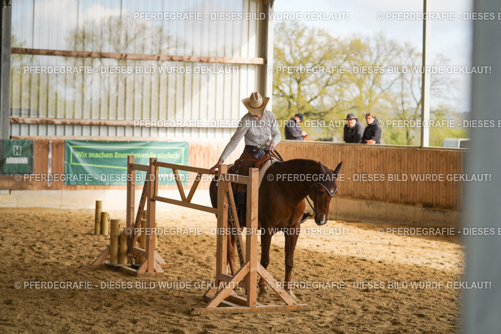 DSC01526 | Pferdegrafie