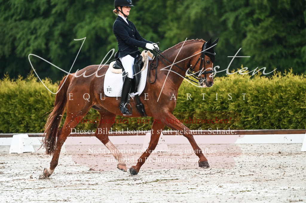 DSC_4235 | Pferde- und Turnierfotografie in Westsachsen. Pferdeportraits, Auftragszeichnungen und intuitive Kunst.