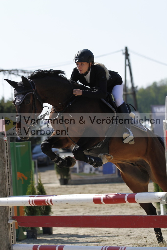 _MG_6708 | equestrian-live-com