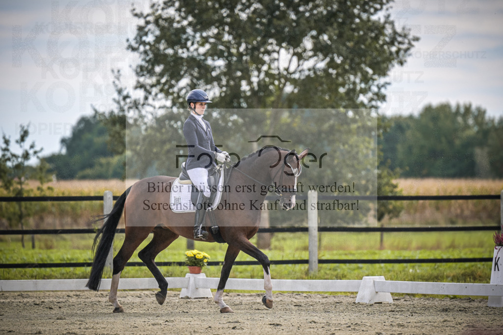 DOS_1995 | Entdecke hochwertige Reitturnierfotos von Foto Oger. Professionell, emotional und authentisch – jetzt Lieblingsmomente im Shop bestellen.Deutschlandweite Turnierfotografie. - Realisiert mit Pictrs.com