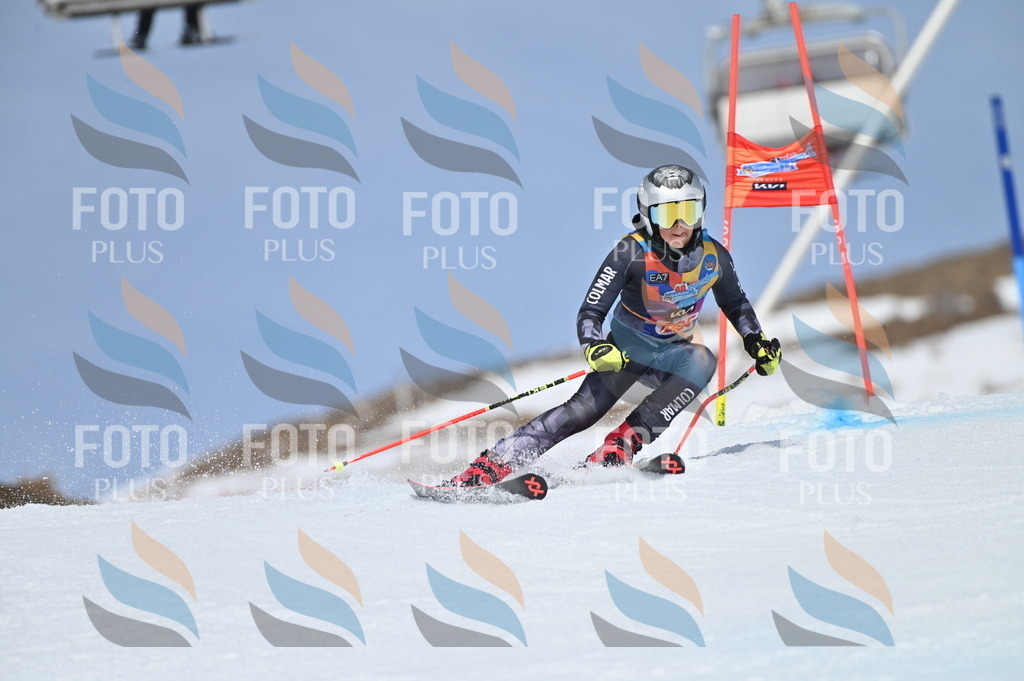 BGV_1410 | holidayphoto