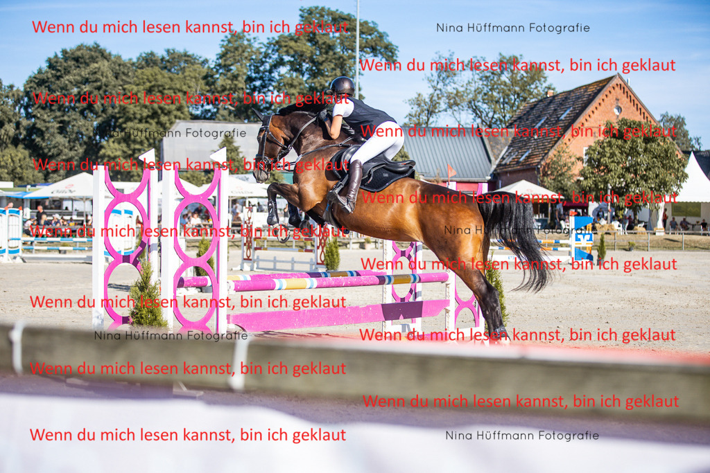 BK1A7436 | Turnierbilder Turnierfotos Nina Hüffmann Turnierfotografie Pferdefotografie Tierzeichnung Haustierzeichnung Pferdezeichnung Hundezeichnung Videograf  - Realisiert mit Pictrs.com