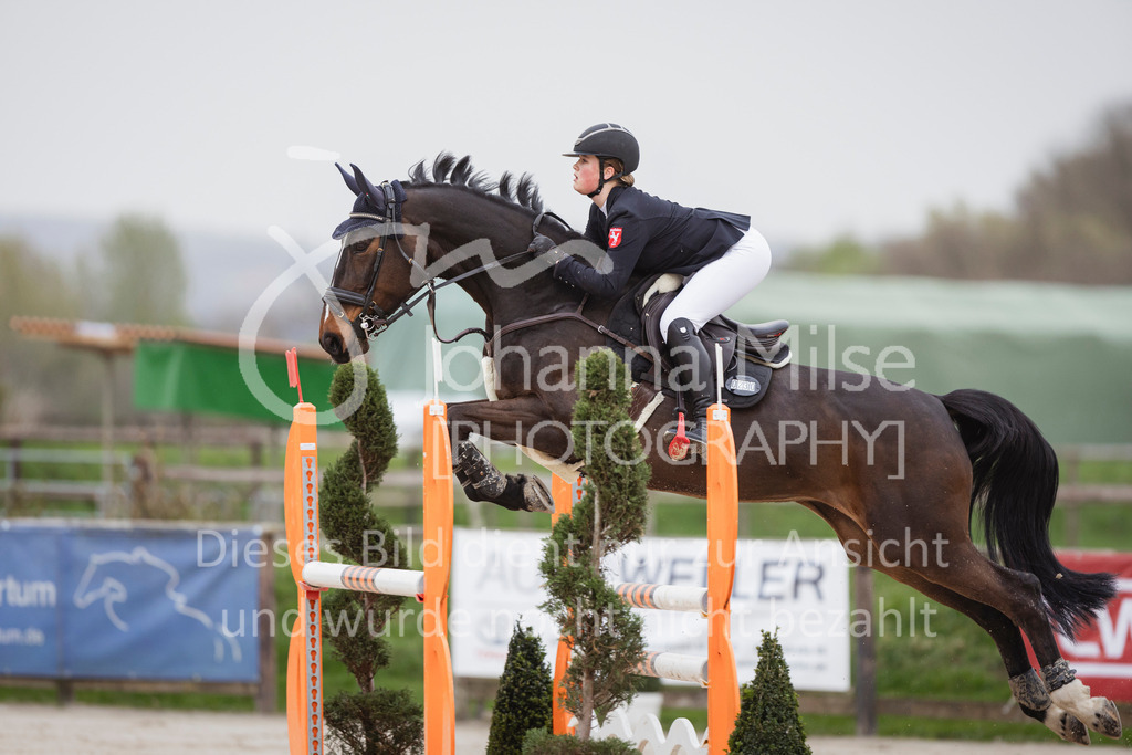 240330_Fruehlingsfest_Stil-M-926 | Deine schönsten Turniermomente als professionelle Fotos! Entdecke hochwertige Pferdesport-Fotografie im Online-Shop. Jetzt Fotos finden & bestellen!