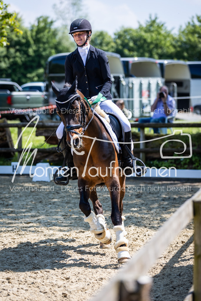 Donop24-L-Dre-143 | MomenTaufnahmen Pferdesportfotos