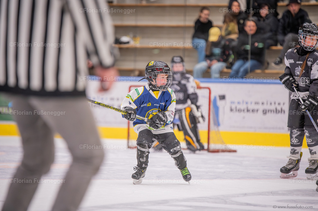 DSC_1482 | "Fussifoto.com – Ihr Ansprechpartner für hochwertige Fotografie! Entdecken Sie kreative Bilder und professionelle Dienstleistungen. Kontaktieren Sie uns für Ihre Projekte!"