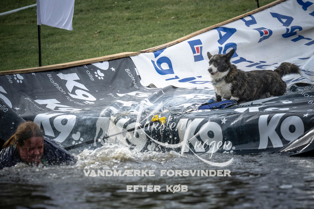 1641_ZZ99163 | kk-dogfotos