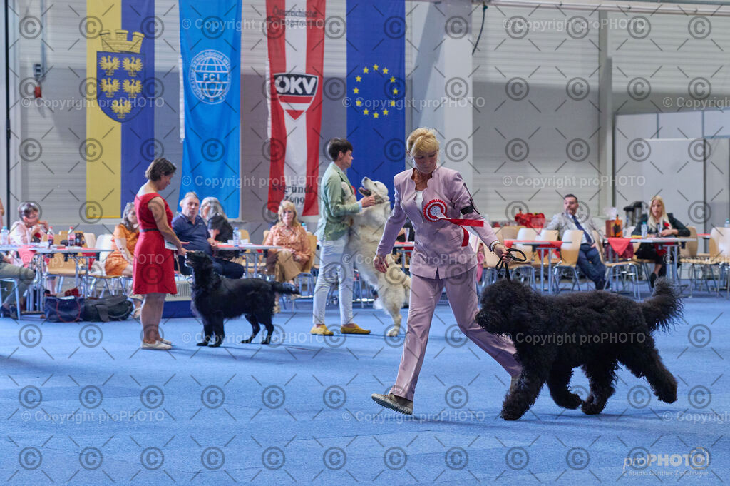 202406_ÖKV-IHA-Tulln24_DSC_5115 | proPHOTO - Realisiert mit Pictrs.com