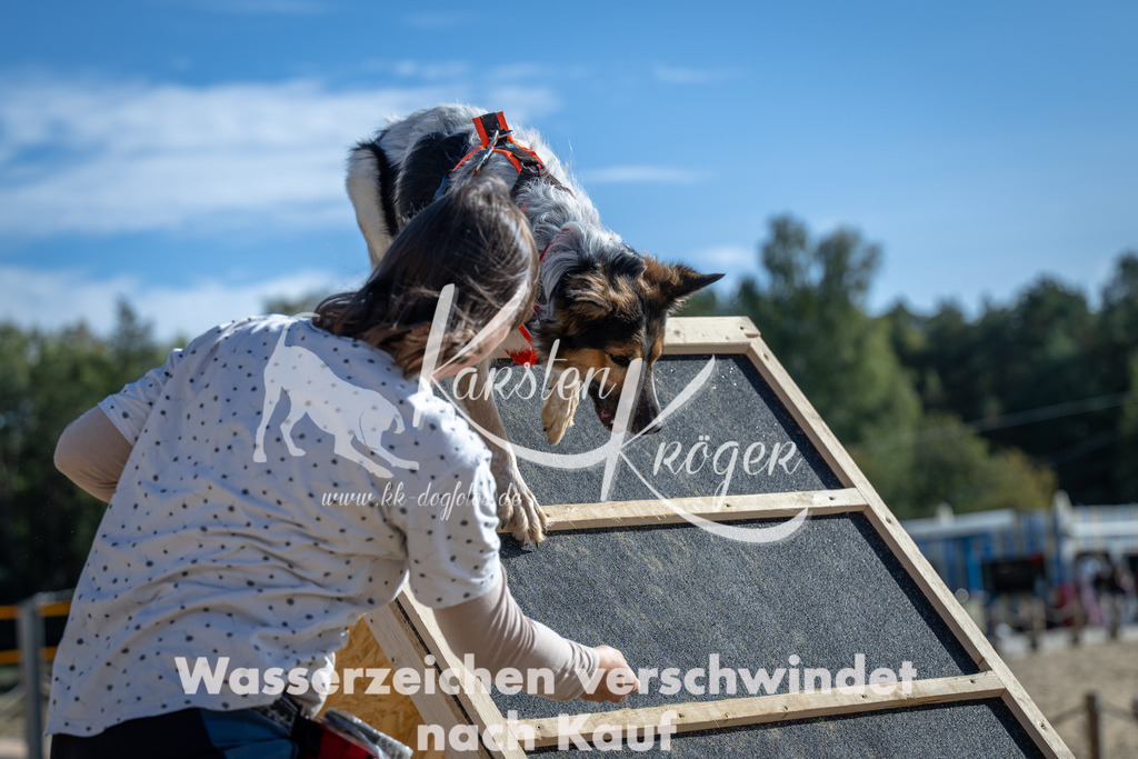 1504_ZZ92081 | kk-dogfotos