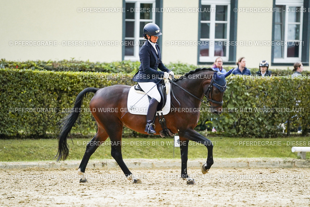 DSC00043 | Pferdegrafie