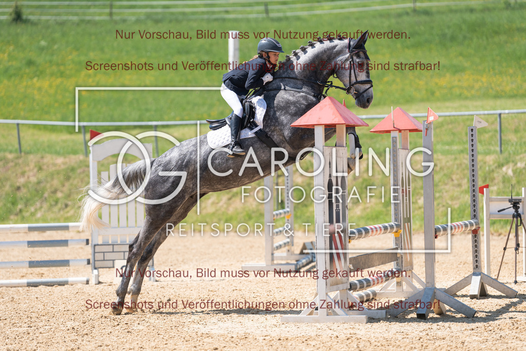 DSC04347 | Springturnier_Ehingen_Mai_2026, Marie_Emilia_Maier, Dream_of_Ice_HM