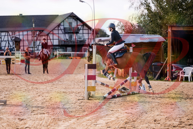 2026_10_03_Siefer-Hof_145727_Z81_39155992 | Professionelle Reitsport-, Turnier- und Eventfotografie von Robert Broda. Galerien mit ausgewählten und bearbeiteten Bildern direkt online ansehen und bestellen.