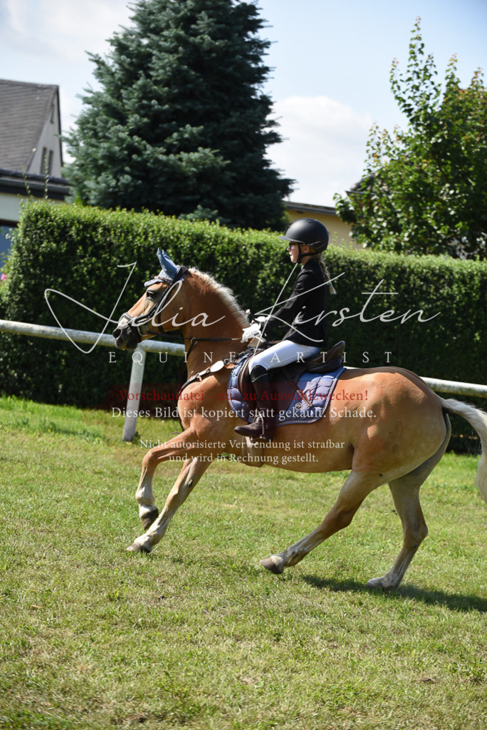 DSC_9054 | Pferde- und Turnierfotografie in Westsachsen. Pferdeportraits, Auftragszeichnungen und intuitive Kunst.