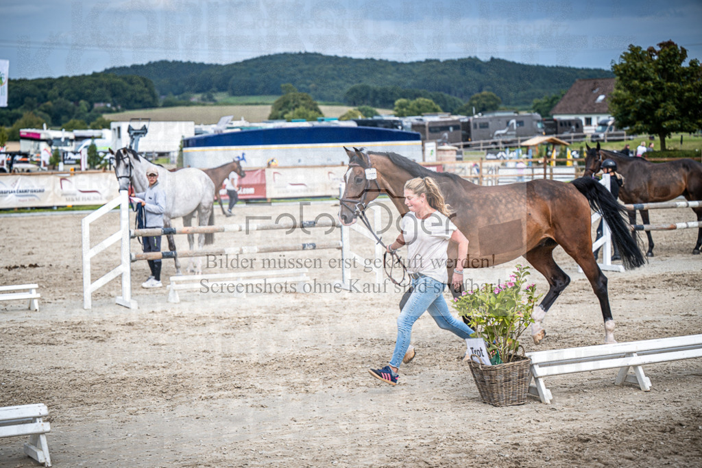 DOS_0467 | Entdecke hochwertige Reitturnierfotos von Foto Oger. Professionell, emotional und authentisch – jetzt Lieblingsmomente im Shop bestellen.Deutschlandweite Turnierfotografie. - Realisiert mit Pictrs.com