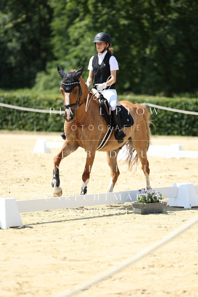 IMGM0800 | pl-fotografie