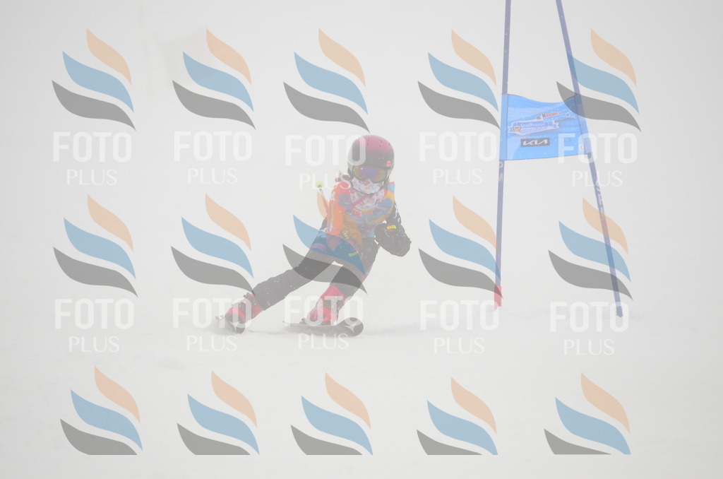 C1291 | holidayphoto