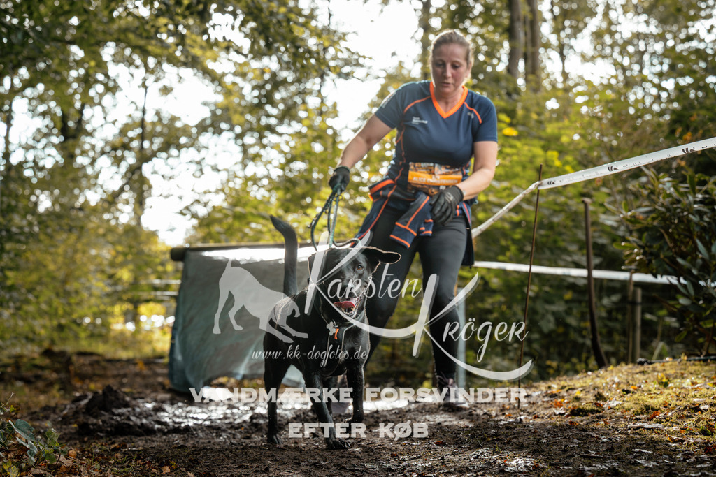 1456DZ6_3968Z6 | kk-dogfotos