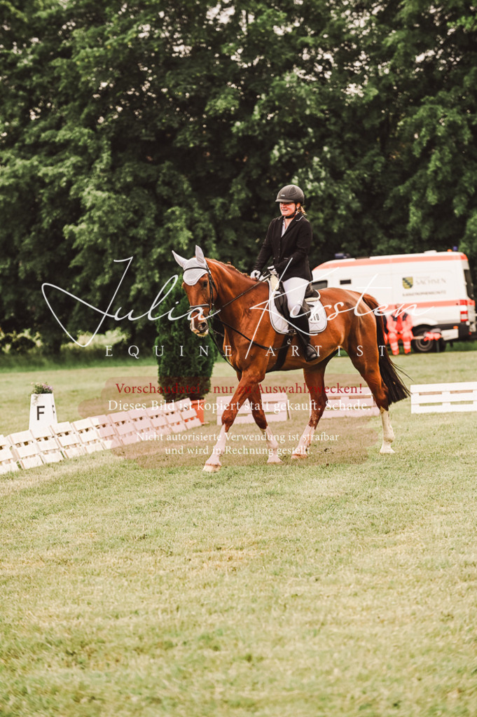 DSC_5090 | Pferde- und Turnierfotografie in Westsachsen. Pferdeportraits, Auftragszeichnungen und intuitive Kunst.