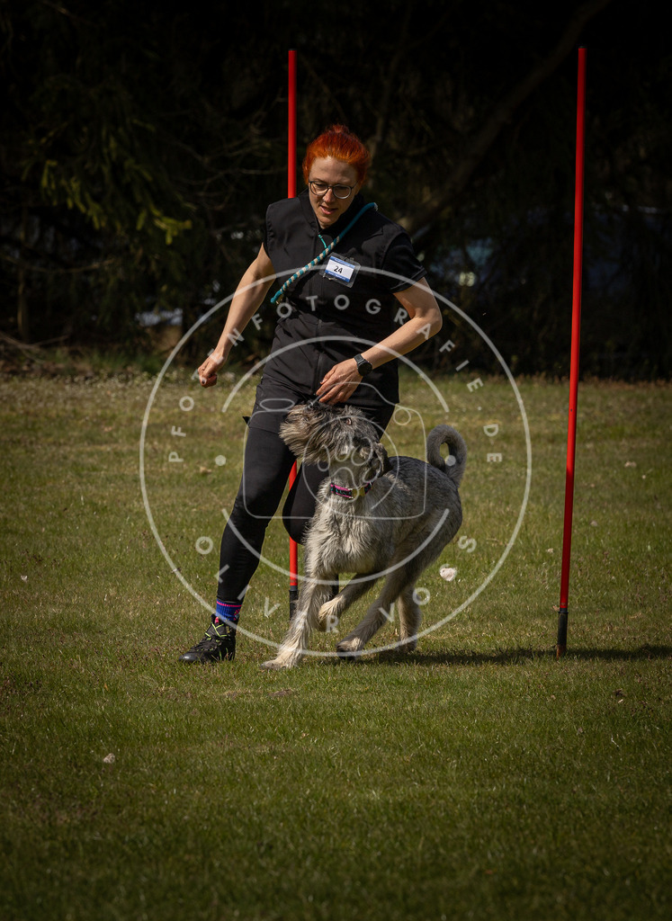 Pfotenfotografie_DV3A4514 | Hundefotografie, Tierfotograf, Pfotenfotografie, Fotoshooting Hund, Hunde Portrait, Hundesport, Hundeportraits, Heideshooting, Hunde, Sportfotograf, Hundefotograf, Turnierhundsport, THS,  - Realisiert mit Pictrs.com