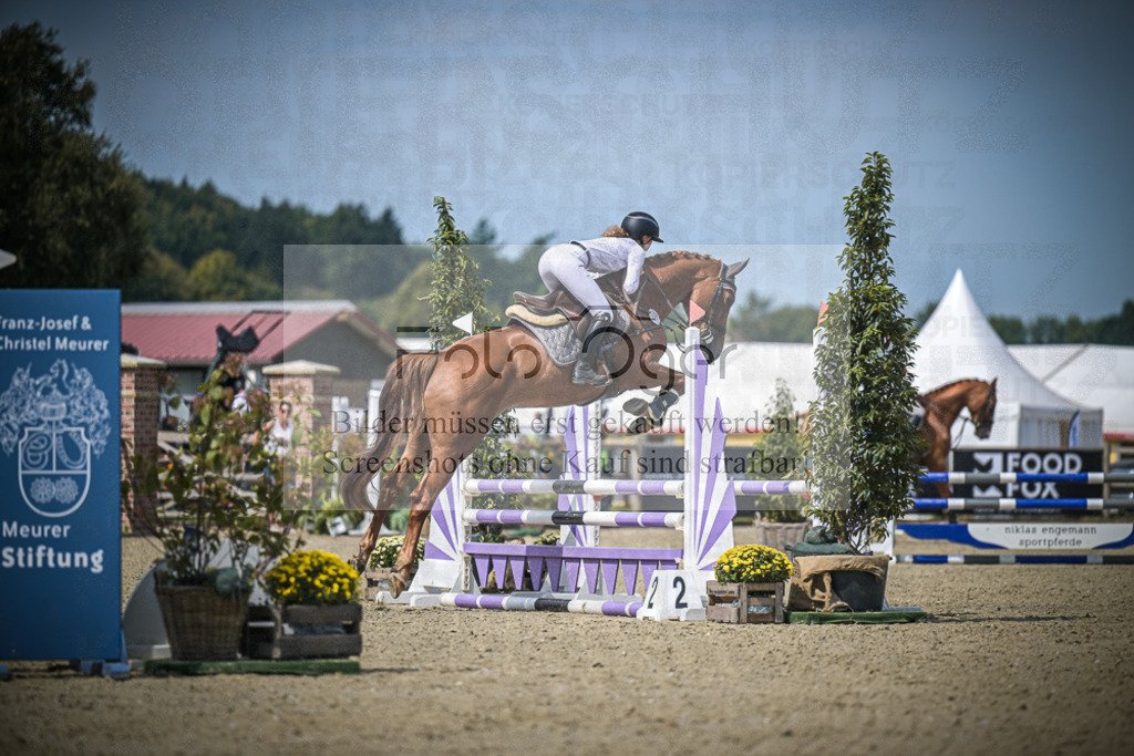 DOS_3753 | Entdecke hochwertige Reitturnierfotos von Foto Oger. Professionell, emotional und authentisch – jetzt Lieblingsmomente im Shop bestellen.Deutschlandweite Turnierfotografie. - Realisiert mit Pictrs.com