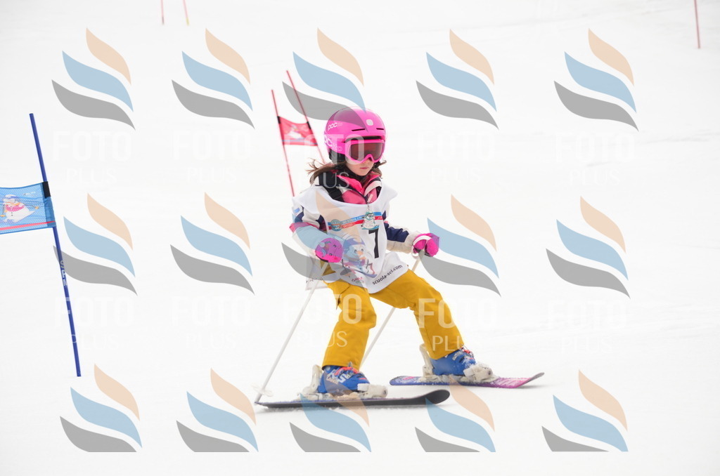 B9377 | holidayphoto