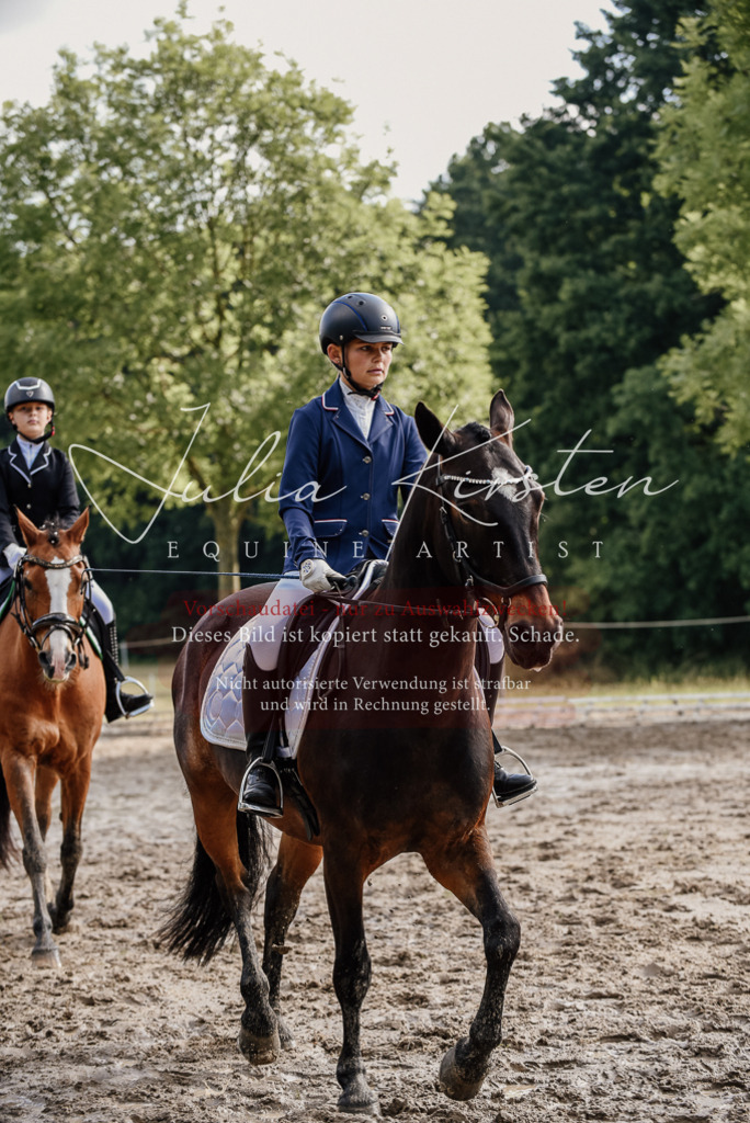DSC_9132 | Pferde- und Turnierfotografie in Westsachsen. Pferdeportraits, Auftragszeichnungen und intuitive Kunst.